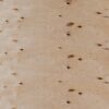 Niiskuskindel vineer C/C Kask | Estinwood